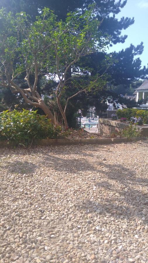 Appartement Sur Le Port, 105M Rez De Jardin Avec Parc Privatif Saint-Valery-en-Caux Dış mekan fotoğraf